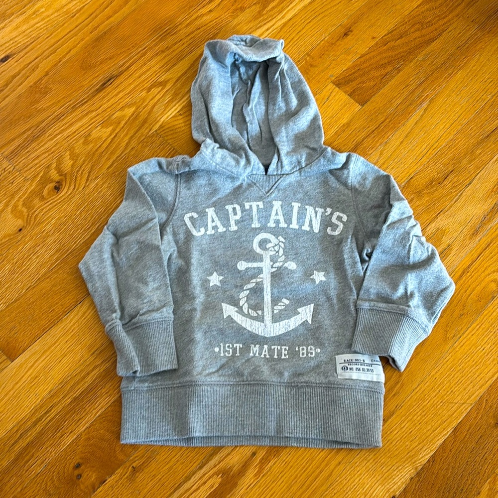 Gray Hooded Sweatshirt (Size 3T)